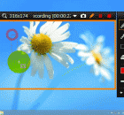 screen recording software